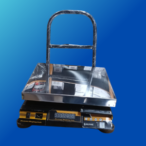 100Kg Dolphin Electronic Weighing Scale