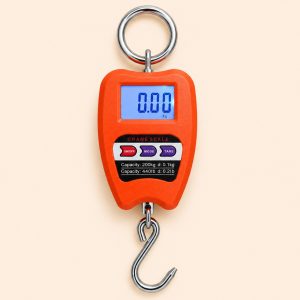 Bisht Systems Portable 200kg Digital Crane Weight Measuring Scale